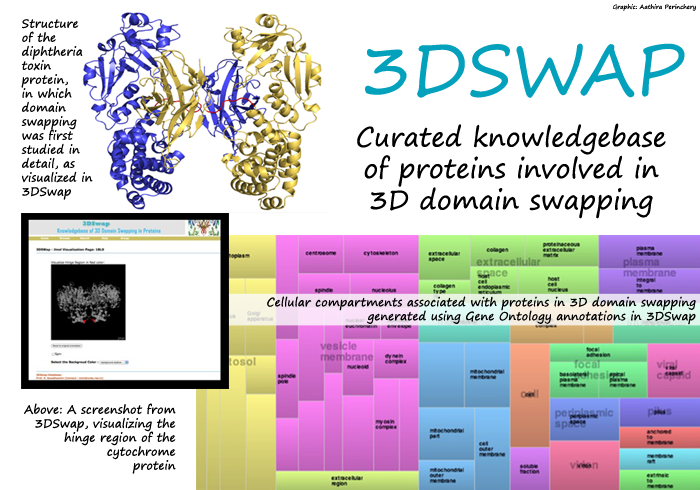 NCBS Research_3DSwap