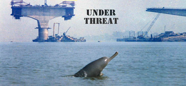 Under_threat2