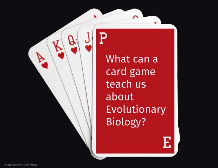 What can a card game teach us about Evolutionary Biology?