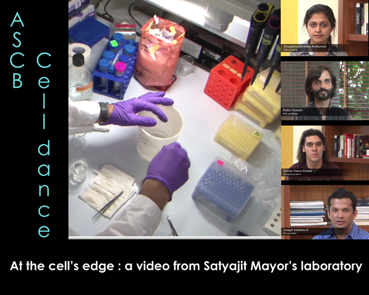 Satyajit Mayor’s lab star in the latest ‘Microscopic blockbuster’