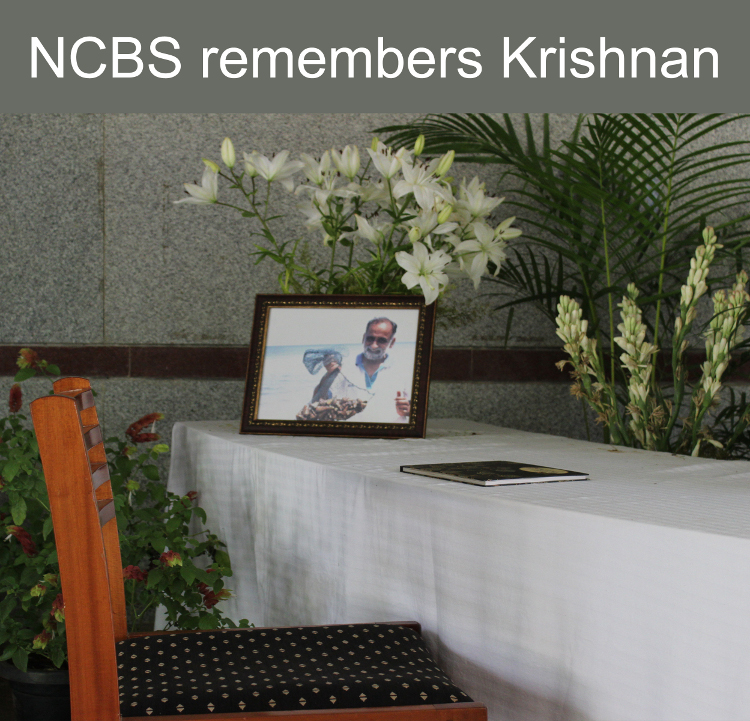 NCBS remembers Krishnan