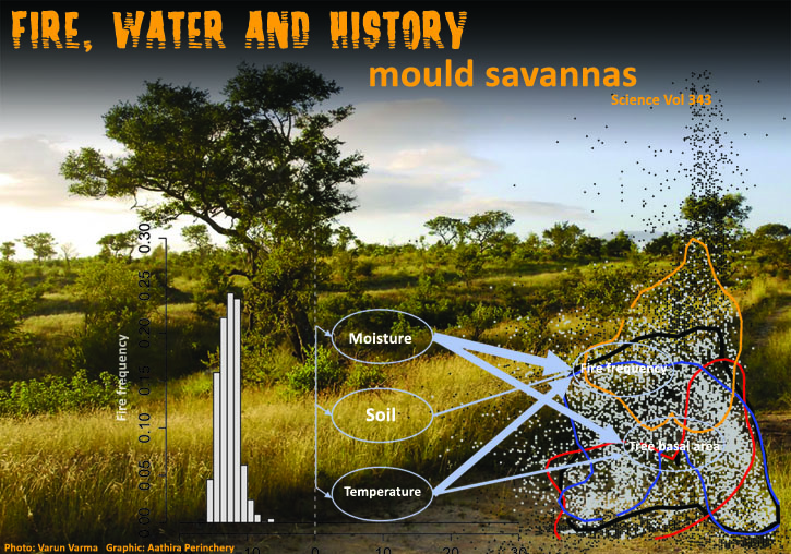 Savannas_Science 2014