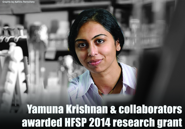 Yamuna Krishnan_HFSP