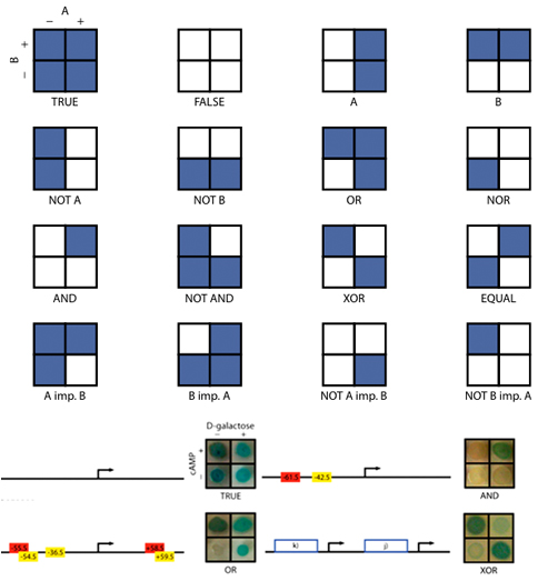 Logic Gates Logic Gates