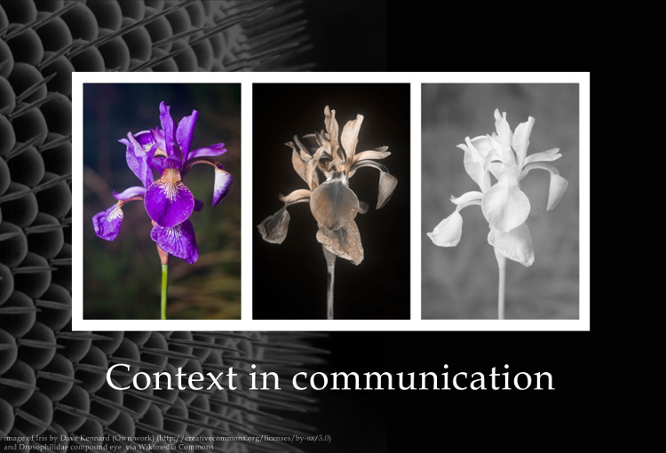Context in communication