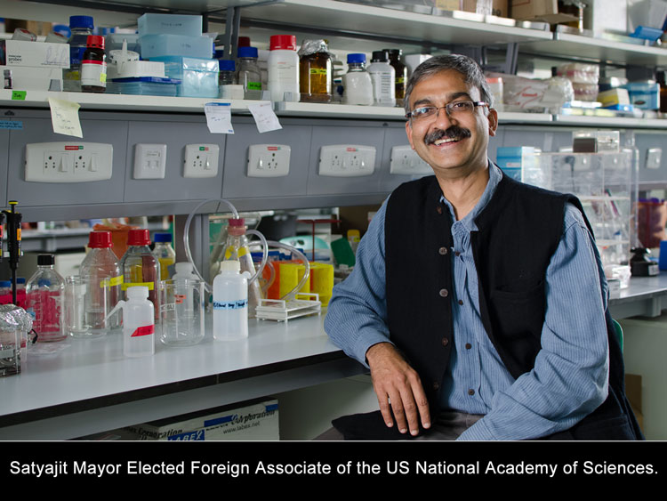Satyajit Mayor Elected Foreign Associate of the US National Academy of Sciences.