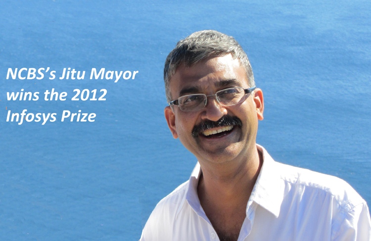 Jitu Mayor wins infosys 2012