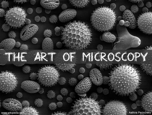 Art of Microscopy