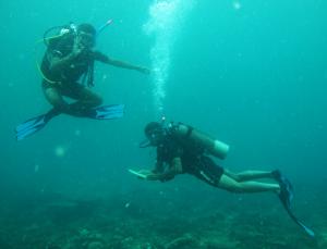 Andamans Diving