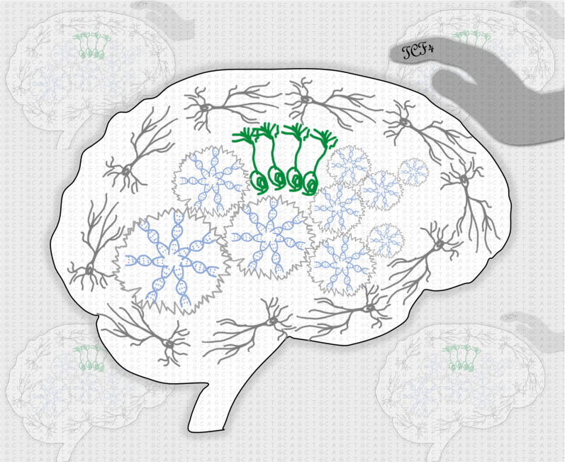 Probing the genetic blueprint reveals hidden nature of brain cells