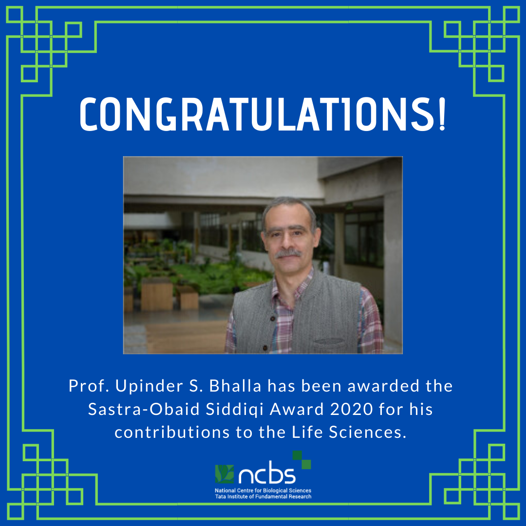 Congratulations! Prof. Upi Bhalla awarded Sastra-Obaid Siddiqi Award 2020