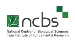NCBS Statement following TIFR Academic Ethics Committee (TAEC) Report on 16 September 2021