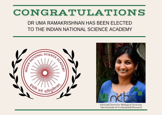Congratulations! Dr Uma Ramakrishnan elected fellow of INSA