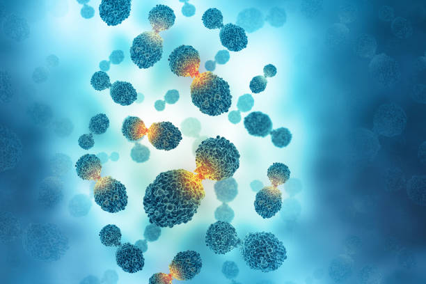 Hacking time for improving cancer therapies
