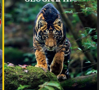 Story and Science Behind Black Tigers of Similipal, Odisha | Public Event