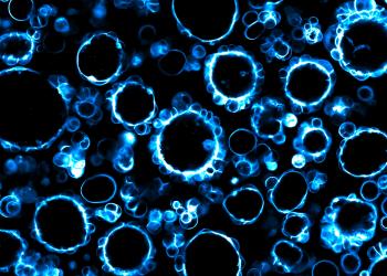 How chemistry controls cancer cell clusters