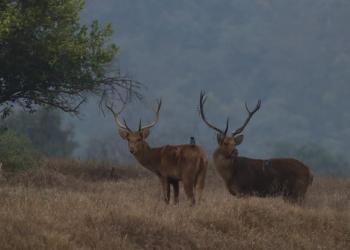 Village relocations redraw the wildlife map
