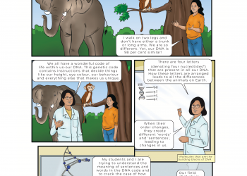 The Hindu: Matching labs with laughs to demystify science for children