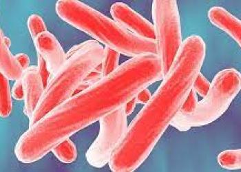 A New Target for Defeating Tuberculosis