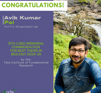Avik Kumar Pal wins TIFR's Zita Lobo Memorial commendation for Best Thesis in Biology 