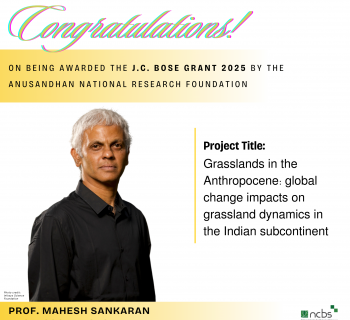 Prof Mahesh Sankaran awarded the 2025 J.C. Bose Grant 