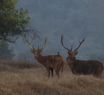 Village relocations redraw the wildlife map