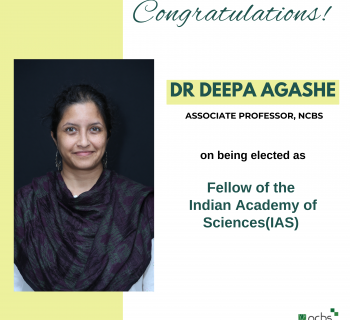 Dr Deepa Agashe elected as a Fellow of the Indian Academy of Sciences (IAS)