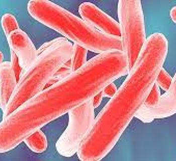 A New Target for Defeating Tuberculosis