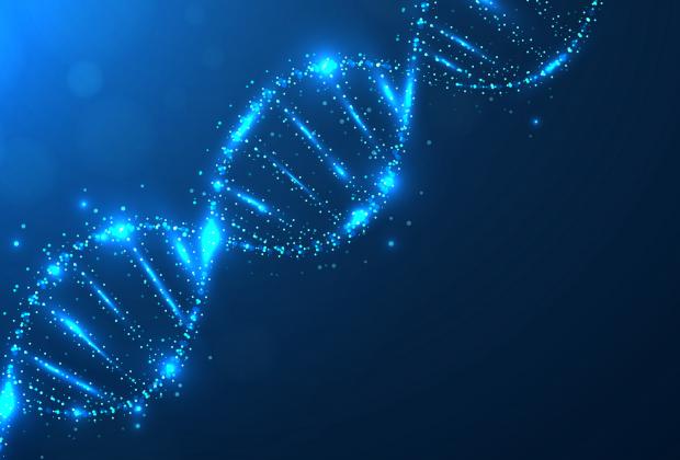 Sometimes, do nothing - genes respond better when they wait