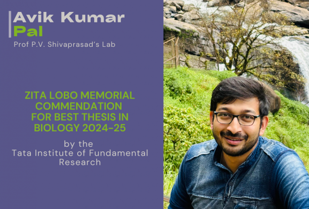 Avik Kumar Pal wins TIFR's Zita Lobo Memorial commendation for Best Thesis in Biology 