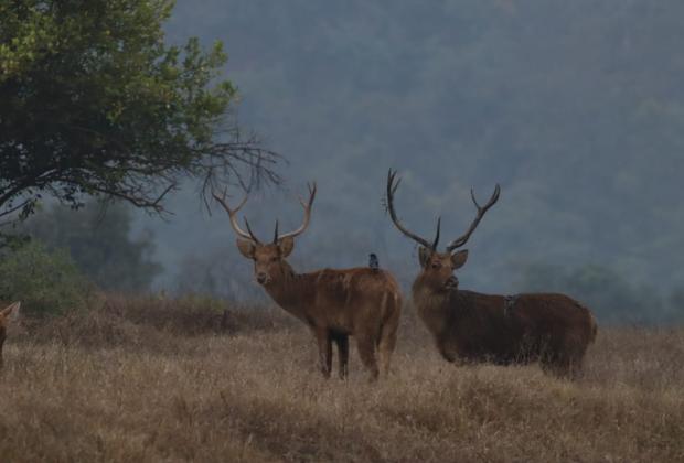Village relocations redraw the wildlife map