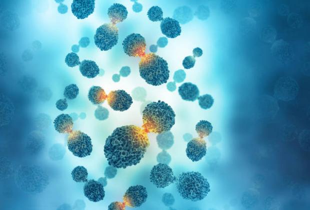 Hacking time for improving cancer therapies