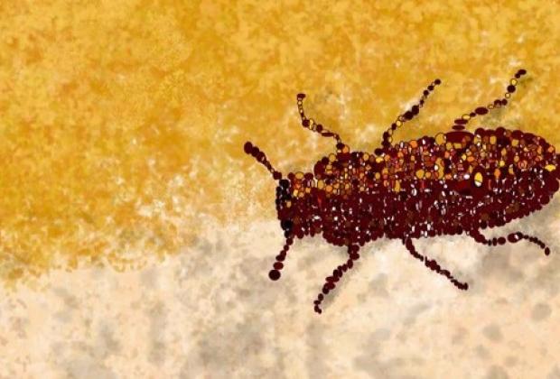 How does a species fight extinction?