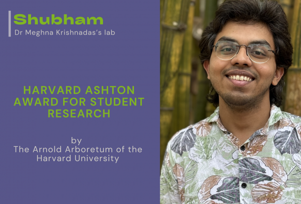 Shubam is awarded the Harvard Ashton Award for Student Research