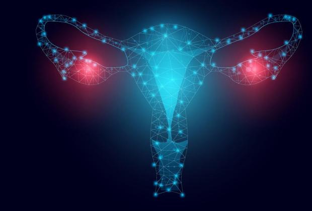 The Hindu: New study finds how calcium and pH regulate ovarian cancer spheroids