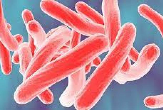 A New Target for Defeating Tuberculosis