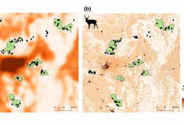 Times Of India: NCBS study shows land use changes and roads threaten genetic connectivity of large herbivores