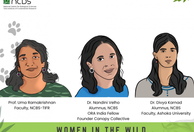 Women in the Wild: Untold stories of wildlife conservation