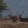 Village relocations redraw the wildlife map