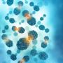 Hacking time for improving cancer therapies