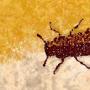 How does a species fight extinction?