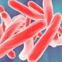 A New Target for Defeating Tuberculosis