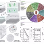 The Times of India: 3D environments influence bacterial growth and survival