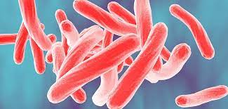 A New Target for Defeating Tuberculosis