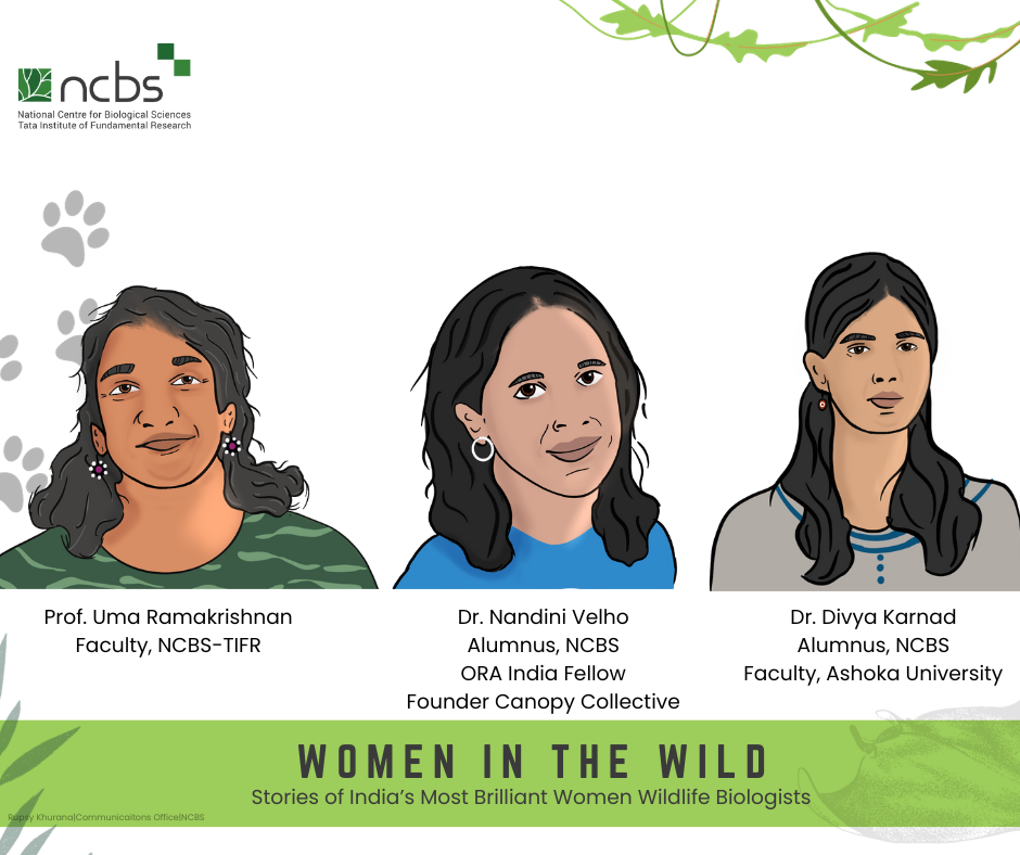 Women in the Wild: Untold stories of wildlife conservation